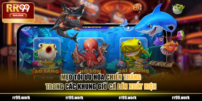 Mẹo tối ưu hóa chiến thắng trong các khung giờ cá lớn xuất hiện